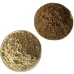 Insect Meal Manufacturer - Defatted Dried Mealworms Protein Powder Insect Meal for Animal Feed