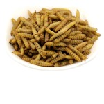 Protein Feed Manufacturer - High Protein Animal Feed for Horse Cattle Pig Fish Dog Black Soldier Fly Larvae