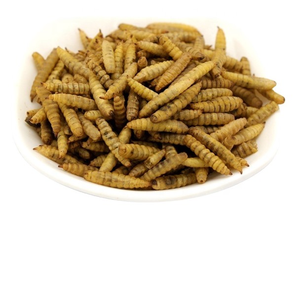 Protein Feed Manufacturer - High Protein Animal Feed for Horse Cattle Pig Fish Dog Black Soldier Fly Larvae