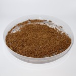 Protein Supplement Factory - Defatted Dried Mealworms Protein Powder for Animals Fish Meal Supplement