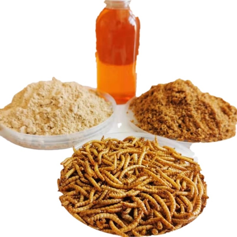 Pet Food Oil Supplier - High Protein Mealworms Oil Nutritious Additive for Pet Foods for Fish Pig Cattle