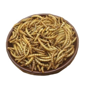 爬宠食品供应商-龟类宠物食品干鱼小虾干蝗虫干黄粉虫马牛羊猪狗用纸箱包装含包装