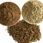 Worm Powder Factory - Dried Mealworm Powder Nutritious Worm Type Packaged in Bag for Horse Pig Fish