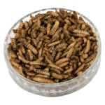 Feed Grade Supplier - Qingdao China Black Soldier Fly Powder Worm Pig Dog Cattle Horse Fish Feed Top Grade