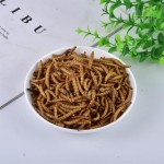 Animal Food Supplier - Yellow Dried Mealworm Larvae Pupa Bird Pet and Farm Animal Food