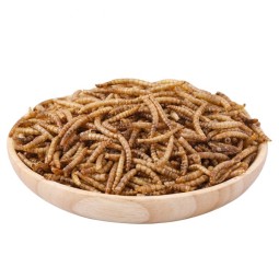 Pet Food Factory - Top Quality Fish Food Pet Food Factory Birds Food Dried Mealworm