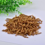 Animal Food Supplier - Yellow Dried Mealworm Larvae Pupa Bird Pet and Farm Animal Food