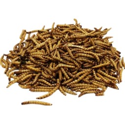 Bird Food Factory - Dried Mealworm Bird Food Chicken Food Animal Feed for Poultry