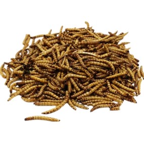 Bird Food Factory - Dried Mealworm Bird Food Chicken Food Animal Feed for Poultry