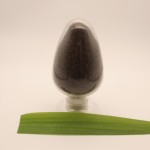 Animal Husbandry Supplier - High-Protein Black Soldier Fly Powder for Horse Cattle Pig Fish Poultry Breeding