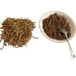 Feed Additive Factory - Mealworm Powder Insect Cricket Powder Feed Additives for Animal Nutrition