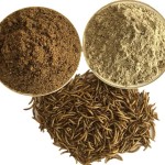 Protein Powder Factory - Tenebrio Mealworms Protein Powder for Animal Feed for Horse Pig Fish Dog Chicken