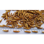 Fly Larvae Powder Factory - High Grade 100% Natural Light Brown Fly Larvae Powder BSF Black Soldier Worm