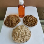 Pet Oil Factory - Factory Direct Price Dried Mealworm Oil Pet Food Reptile Food Super Worm for Sale