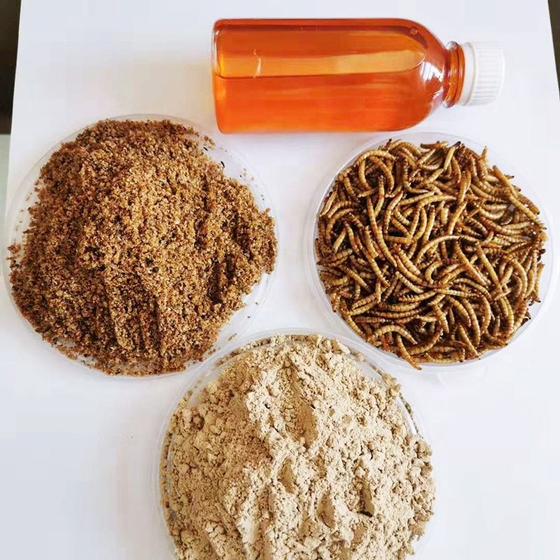 Feed Oil Manufacturer - Premium Mealworm Oil Feed Additives for Pets Birds Fish Chickens for Horses
