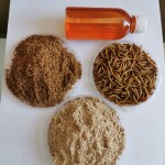 Pet Oil Factory - Factory Direct Price Dried Mealworm Oil Pet Food Reptile Food Super Worm for Sale
