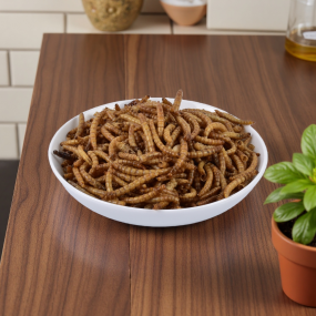 黄粉虫供应商-OEM品牌天然黄色黄粉虫批发鸟食干面包虫仓鼠观赏鱼龟肉材料用