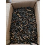 Insect Food Supplier - Popular Natural Insect Mealworm Defatted Black Soldier Fly Larvae Dry Pet Food