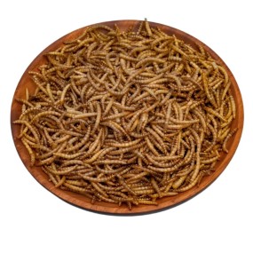 Dried Mealworm Supplier - Microwave Freeze Tenebrio Molitor Yellow Dried Mealworm for Feed