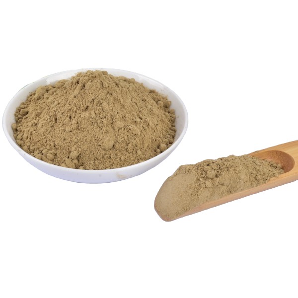 Fly Larvae Manufacturer - Black Soldier Fly Larvae Powder Dried BSFL Meal for Horse Cattle Pig Fish Dog Use