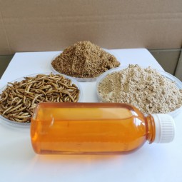 Pet Food Oil Supplier - Special 5% Max Moisture Dried Mealworm Oil for Dry Pet Food Worm Oil