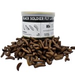 Insect Food Supplier - Popular Natural Insect Mealworm Defatted Black Soldier Fly Larvae Dry Pet Food