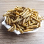 BSF Larvae Factory - Factory Wholesales Dried Black Soldier Fly Larvae Premium Insect-Based Pet Dry Food