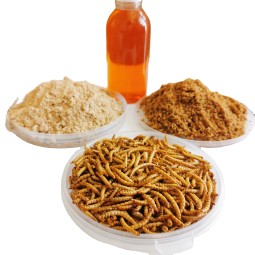 Insect Powder Manufacturer - 100% Pure Mealworm Meal Insect Powder Premium Fish Feed Additive for Pig