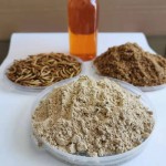 Pet Oil Factory - Factory Direct Price Dried Mealworm Oil Pet Food Reptile Food Super Worm for Sale