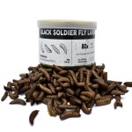 Chicken Feed Supplier - Wholesale 5kg 5LB High Protein Dried Black Soldier Fly Chicken Feed for Horse Cattle