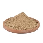 Fly Larvae Manufacturer - Black Soldier Fly Larvae Powder Dried BSFL Meal for Horse Cattle Pig Fish Dog Use
