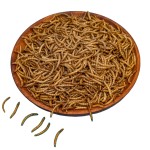 Bird Food Factory - High Quality Dry Food Yellow Mealworms for Birds and Pet Animals