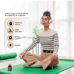 Lion's Mane Capsules Manufacturer - OEM Mushroom Supplement for Brain Wellness