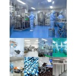 Organic Mushroom Gummies Supplier - OEM Private Label 10 in 1 Extract Blend