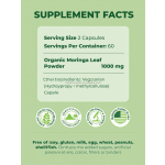 Natural Moringa Detox Capsules Manufacturer - OEM Private Label Energy Metabolism