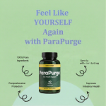 Gut Cleanse Supplement Manufacturer - OEM/ODM 60-Capsule Colon Health Support