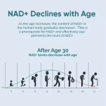 NAD Capsules Manufacturer - OEM/ODM Resveratrol NMN Booster Dietary Supplement