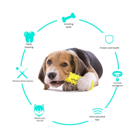 Dog Toy Factory - Popular Eco-Friendly Squeaky Dog Toy TPR Teething Stick Teeth-Cleaning Serrated