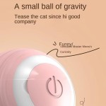 Cat Toy Supplier - OEM Electric Self-Healing Rolling Ball