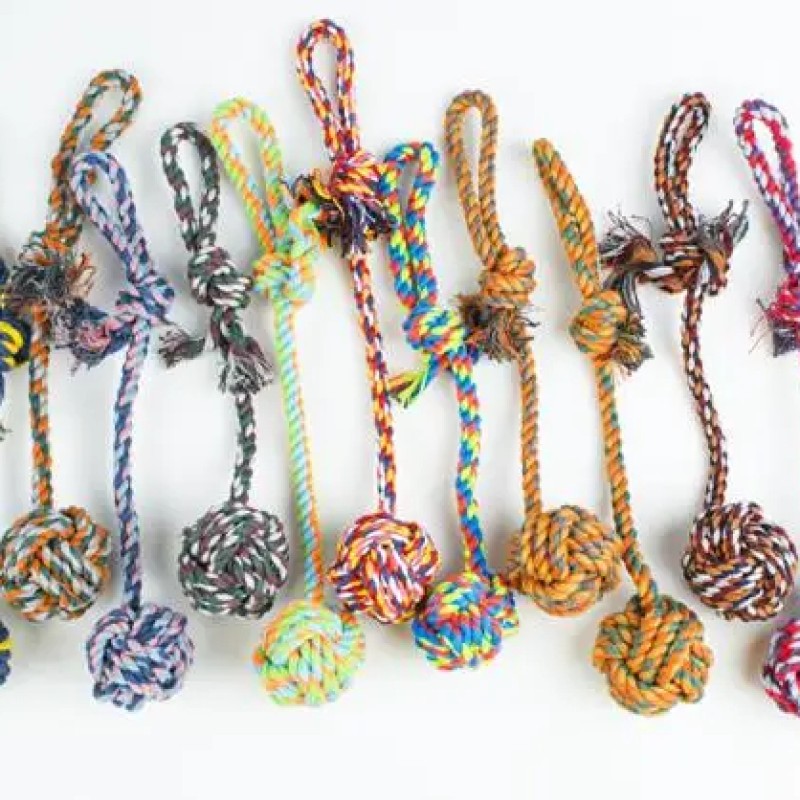 Dog Toy Manufacturer - OEM Squeaky Cotton Rope Frisbee