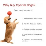Dog Toy Supplier - OEM Rubber Bite-Resistant Ball