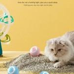 Cat Toy Supplier - OEM Electric Self-Healing Rolling Ball