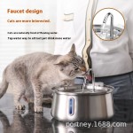 Pet Water Dispenser Supplier - OEM Automatic Stainless Steel