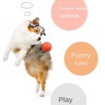 Dog Toy Supplier - OEM Rubber Bite-Resistant Ball