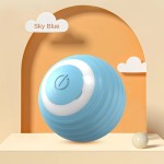Cat Toy Supplier - OEM Electric Self-Healing Rolling Ball