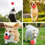 Dog Toy Supplier - OEM Rubber Bite-Resistant Ball