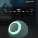Cat Toy Supplier - OEM Electric Self-Healing Rolling Ball