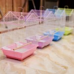 水族馆温度计生产商-塑料贴纸环保