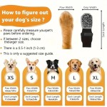 大型犬袜子供应商-防抓棉质静音脚套