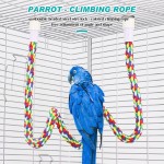 Cat Tunnel Supplier - Rolling Earth Dragon Removable Washable